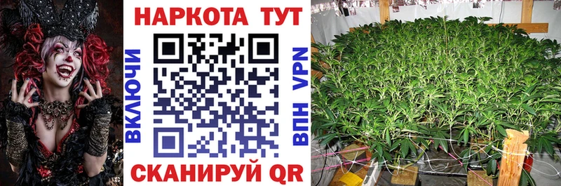 Купить наркотик Нижний Ломов Альфа ПВП Мефедрон Каннабис
