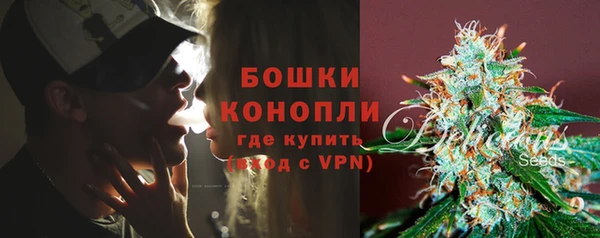 стаф Великий Новгород