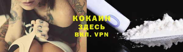 шишки Майский