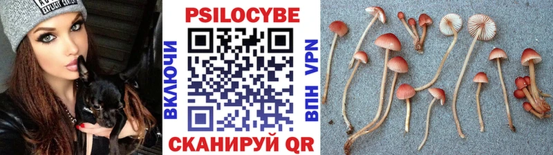 купить   Нижний Ломов  Псилоцибиновые грибы Psilocybine cubensis 